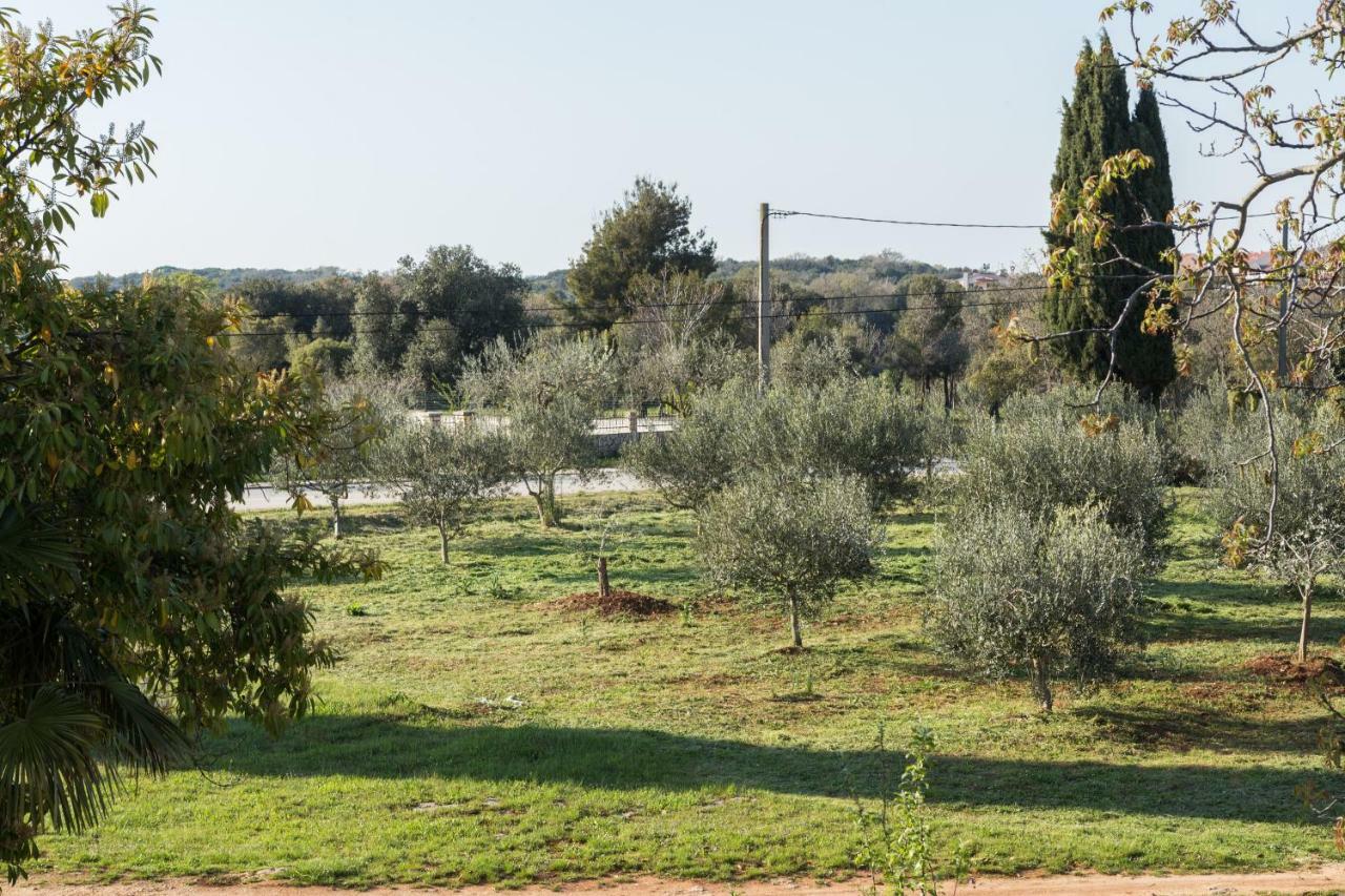 Studio Andrea Rovinj Zewnętrze zdjęcie